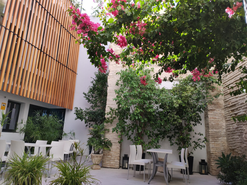 Apartamentos Córdoba Atrium patio 1599126052579